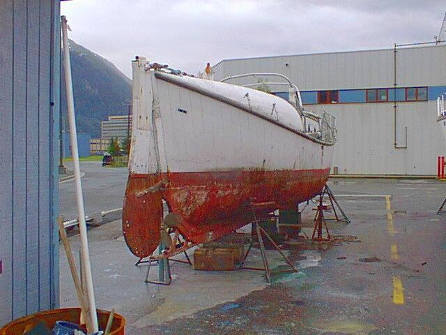 haulout photo