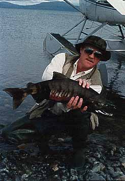 Dan with Chum Salmon