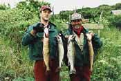  Pike, Trout and Arctic Char