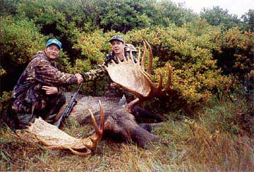 A beautiful 66 inch moose