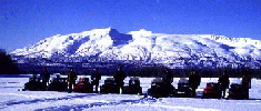 gang in
front of susitna