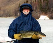 kellyburbot498.JPG (12758 bytes)