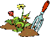 my flowerbeds