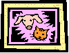 the cats and dogs