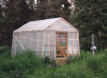 greenhouse.JPG (30896 bytes)