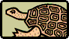 my turtle collection