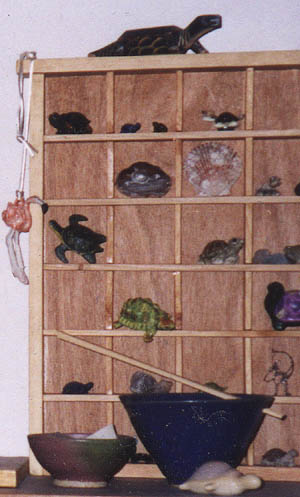turtles.jpg (35821 bytes)