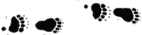 BearTracks200.gif (2259 bytes)