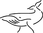 whale.gif (2521 bytes)