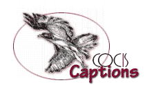 COCIS Captions