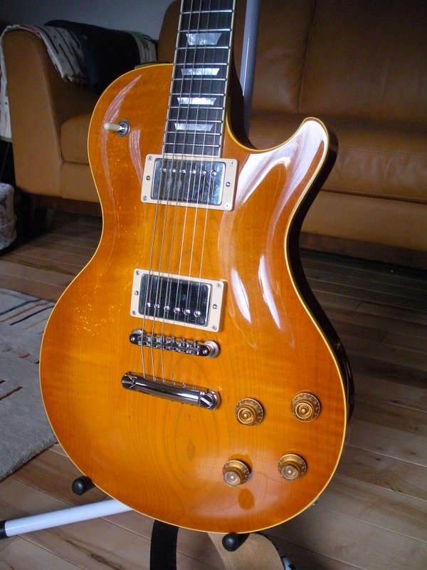 gtr_H2_fDSCN3202.JPG