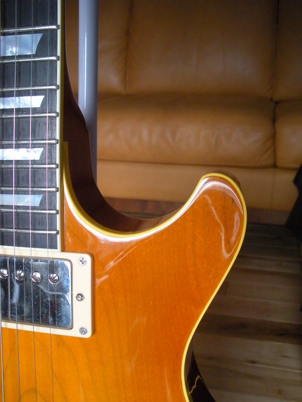 gtr_H2_fDSCN3204.JPG