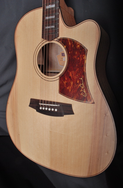 New Guitar Day - Cole Clark FL2AC | The Gear Page