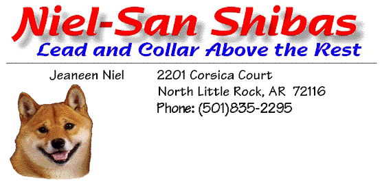 Niel-San Shibas - Banner - Lead and Collar Above the Rest!
