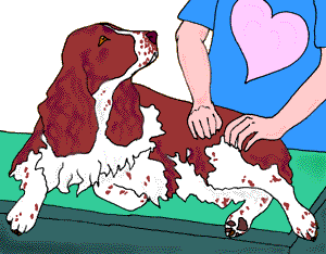 {short description of image}