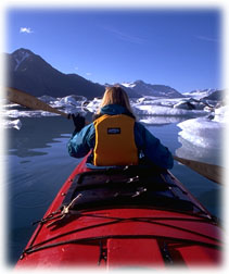 Kayak in Alaska's wilderness