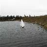 D:\My Documents\My Pictures\rc\downwind11.jpg (405516 bytes)