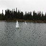 D:\My Documents\My Pictures\rc\onthepond10.jpg (424972 bytes)