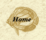 Home button