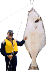 Alaskan Hospitality Lodge Halibut