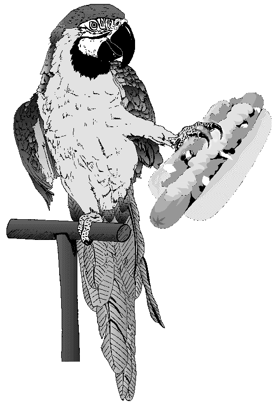 New Sport Sweeps The Nation!