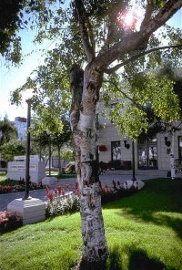 Downtown Anchorage: Old City Hall (photo by Tony Rowlett)
