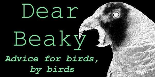 Dear Beaky