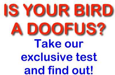 Is Your Bird A Doofus?