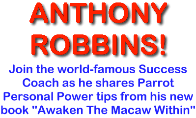 Awaken The Macaw Within!