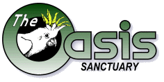 The Oasis Sanctuary