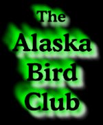 The Alaska Bird Club