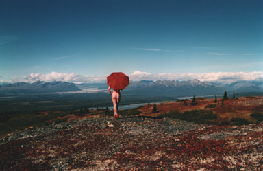 AutumnD II.JPG (40816 bytes)