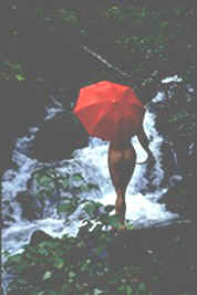 Falls_Creek.jpg (28085 bytes)