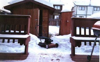 Condo Yard