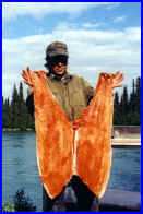 King Salmon Fillet