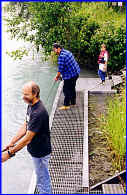 Fish from our dock on the Kenai River.