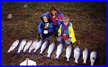 A Nice Row of Silvers.