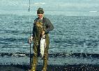 Vo[T[ / Silver Salmon                                      .