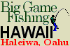 Hawaii Big Game Fishing