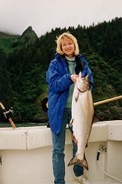 While fishing for Silver Salmon in Seward, multiple hookups are the norm not the exception. But as this lucky angler found, King Salmon are sometimes mixed in with the Silvers!