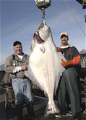 If you have fished for halibut anywhere in the world except Alaska you're missing the boat.