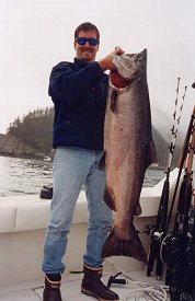 King salmon can be caught almost year round in Seward. Alaska is known world-wide as the place to go for giant King Salmon and we can take you there.