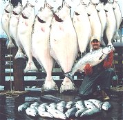 Captain Steve Zernia with a day's haul of Halibut, Silver Salmon and King Salmon. It doesn't get any better.
