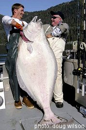 August 23, 2003, Rich of SIMRAD Marine Electronics, and Captain Steve Zernia with  Rich's 172 pound halibut.