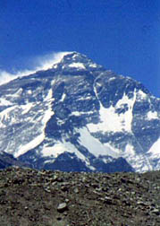Everest 99