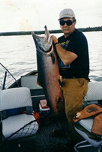 Nice King Salmon!