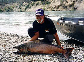 Kenai River Alaska King Salmon
