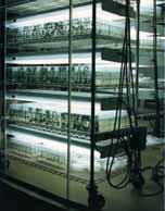 Growth Chamber