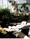 Int greenhouse/pond