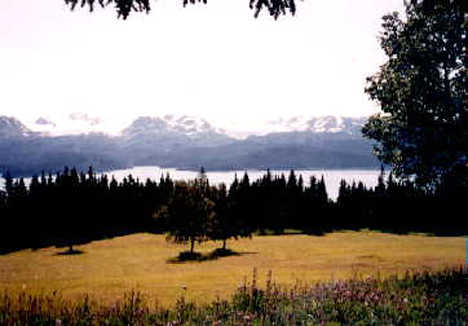 Homer Alaska Real Estate Broker